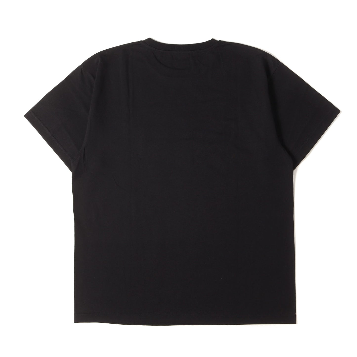 25SS ブランドロゴ グラフィック Tシャツ(VSN / SS / COTTON)