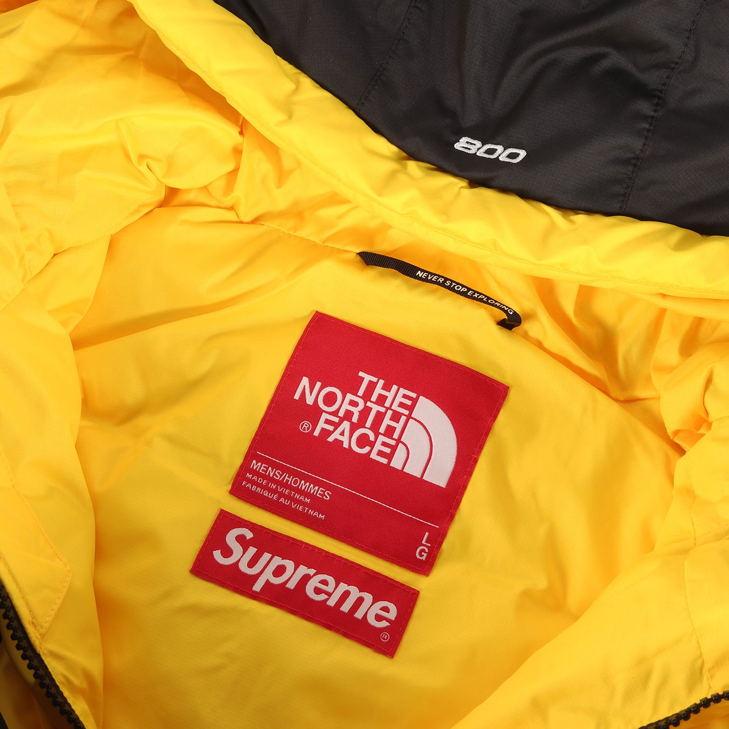 22AW ×THE NORTH FACE ハーフジップ プルオーバー ダウンジャケット(800-Fill Half Zip Hooded Pullover)