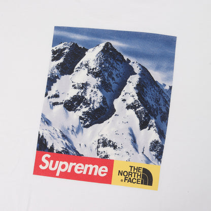 ×THE NORTH FACE 雪山プリント Tシャツ(Mountain Tee)