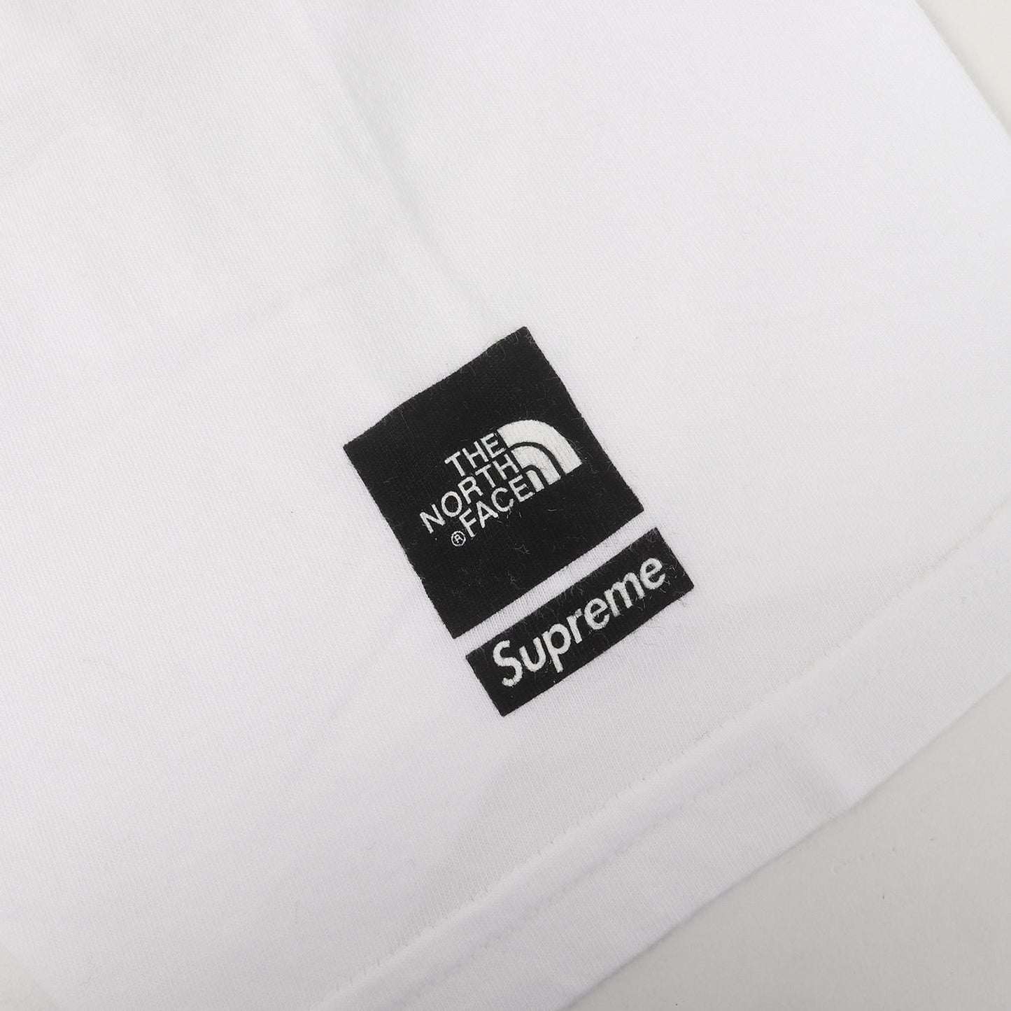 ×THE NORTH FACE 雪山プリント Tシャツ(Mountain Tee)