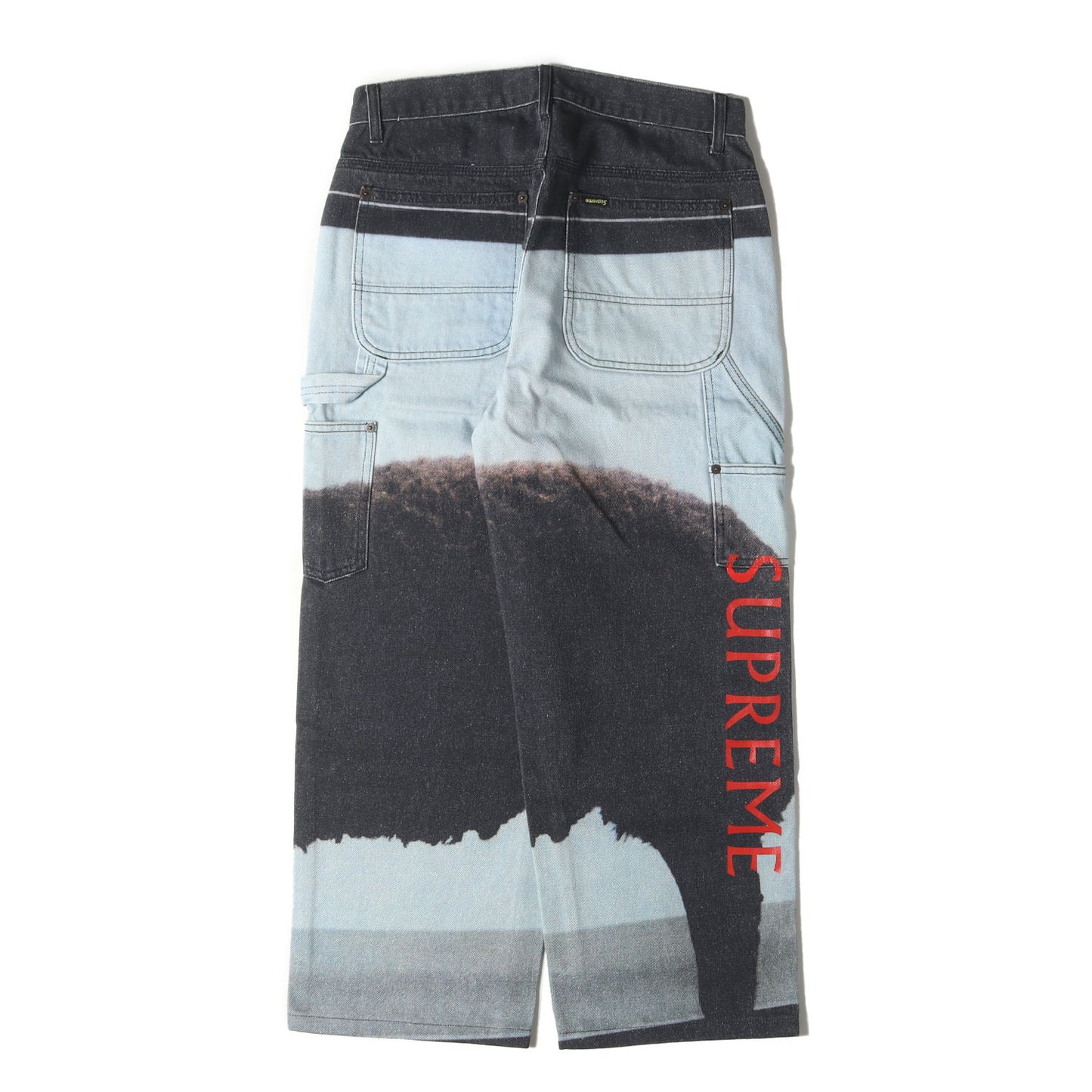 25SS ×Damien Hirst ブラックシープ ペインター デニムパンツ(Painter Jean)