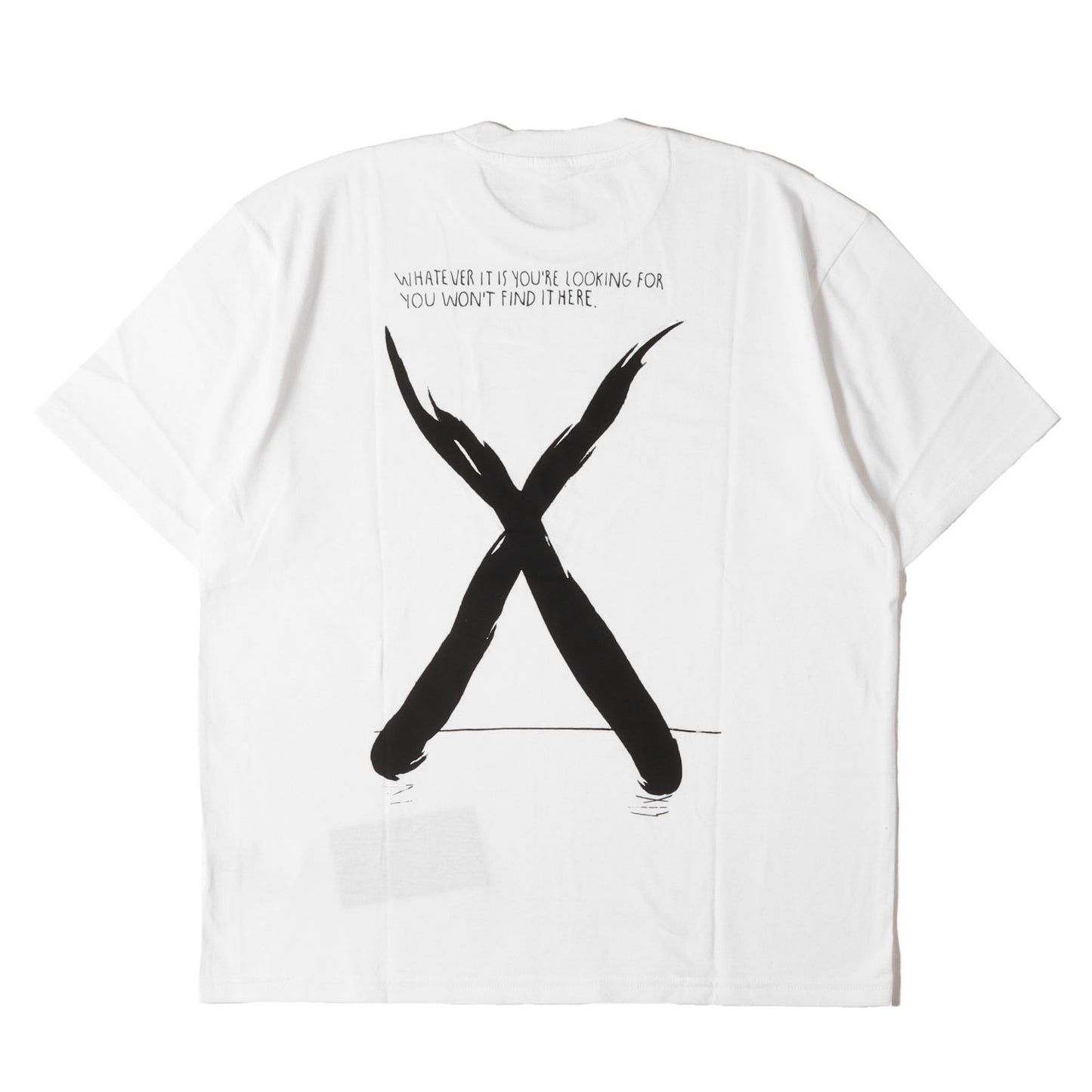 24AW ×THE NORTH FACE グラフィックプリント Tシャツ(S/S Top)