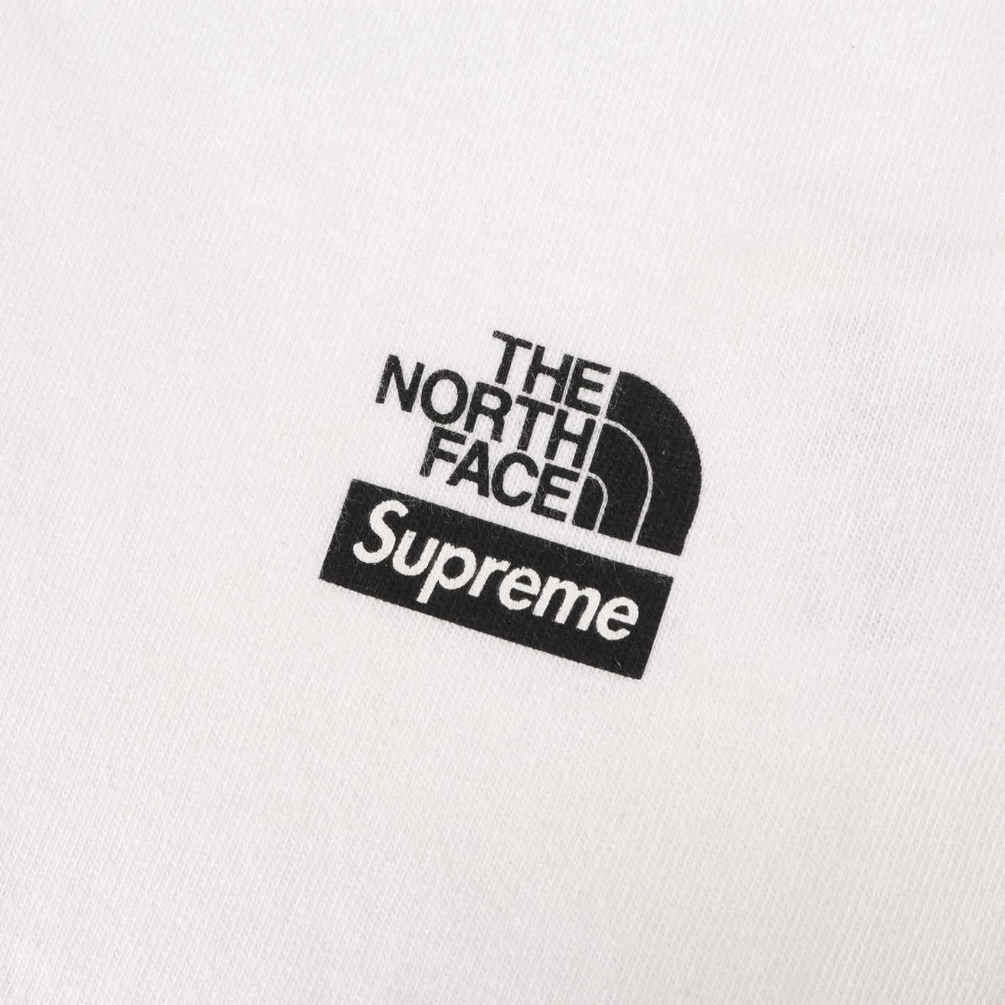24AW ×THE NORTH FACE グラフィックプリント Tシャツ(S/S Top)