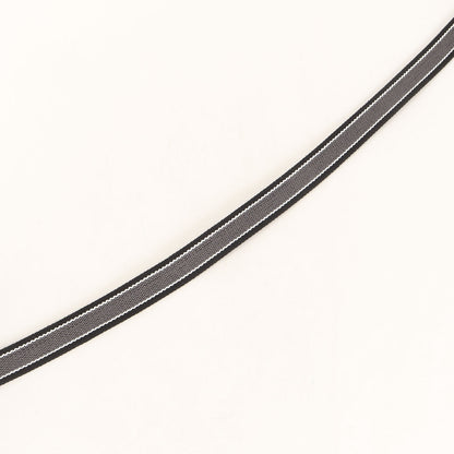 22SS ×Dickies ストライプ ウェビング ガチャベルト(Stripe Webbing Belt)