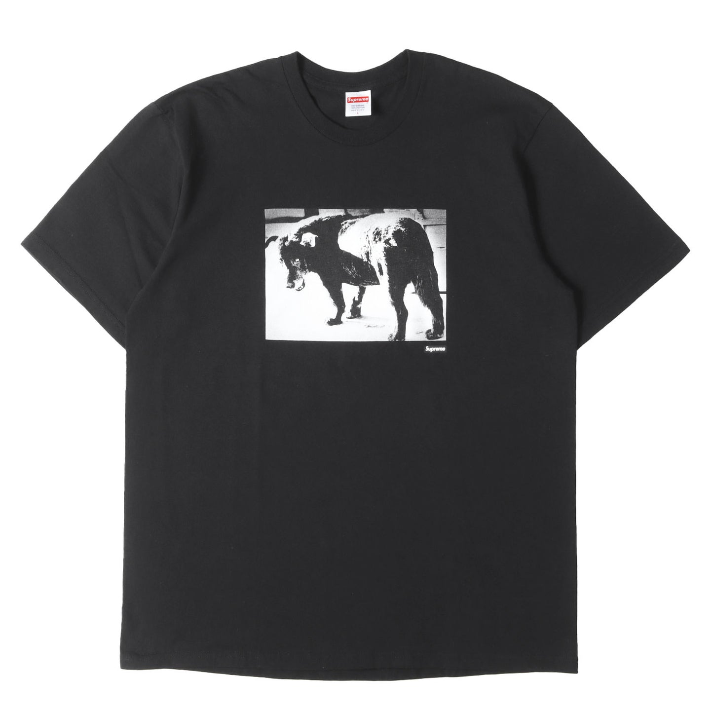 22SS ×森山大道 フォトプリント Tシャツ(Dog Tee)