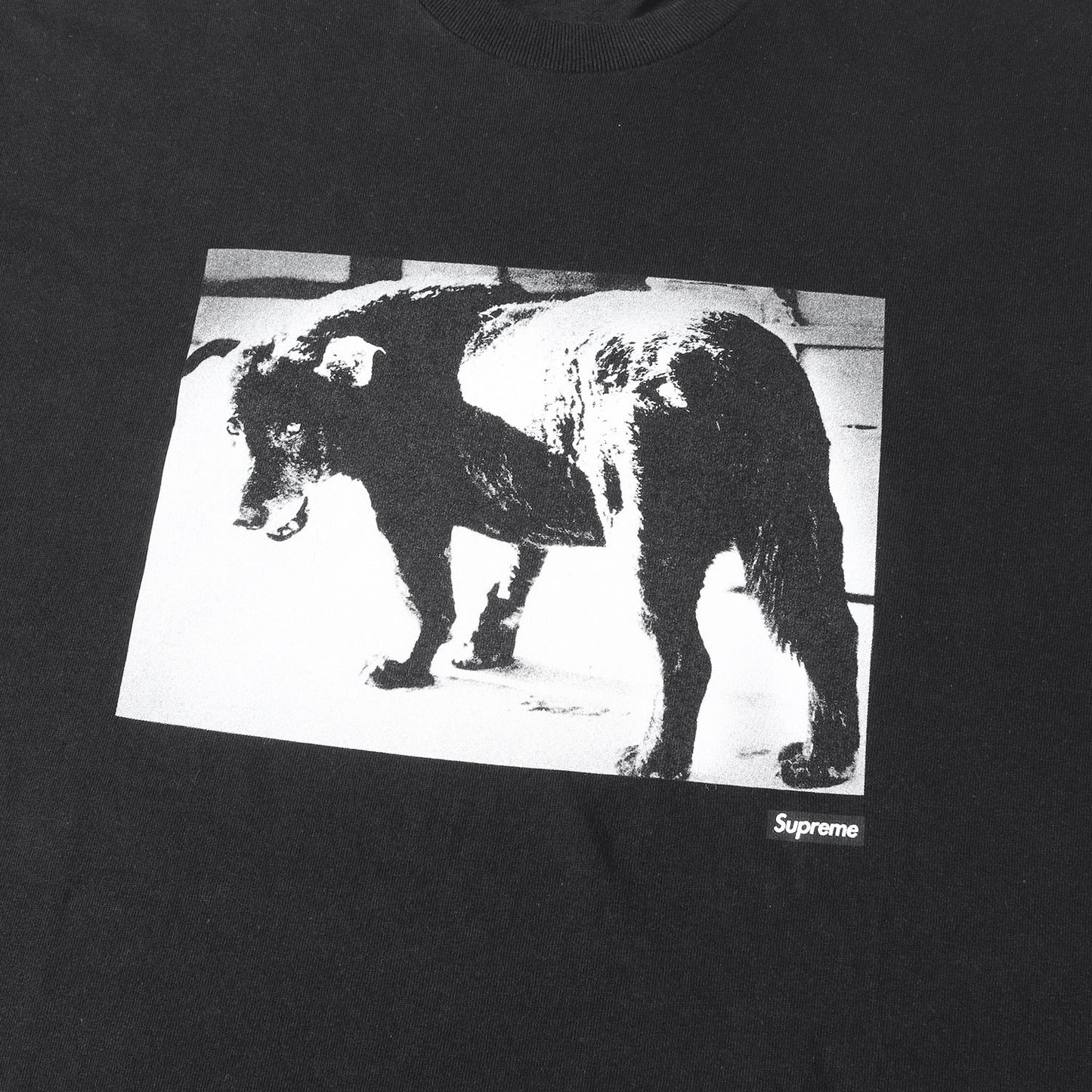 22SS ×森山大道 フォトプリント Tシャツ(Dog Tee)