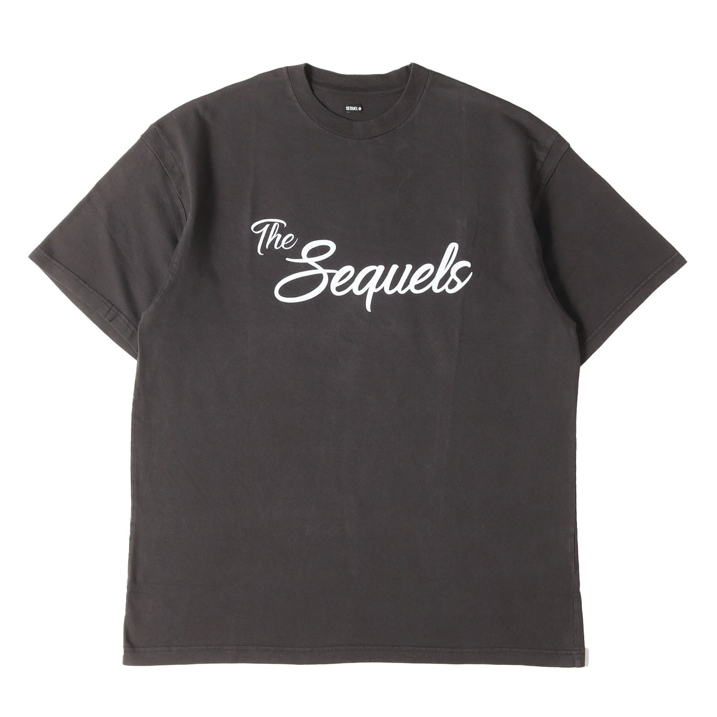 22SS スクリプトロゴ クルーネック Tシャツ(T-SHIRT)