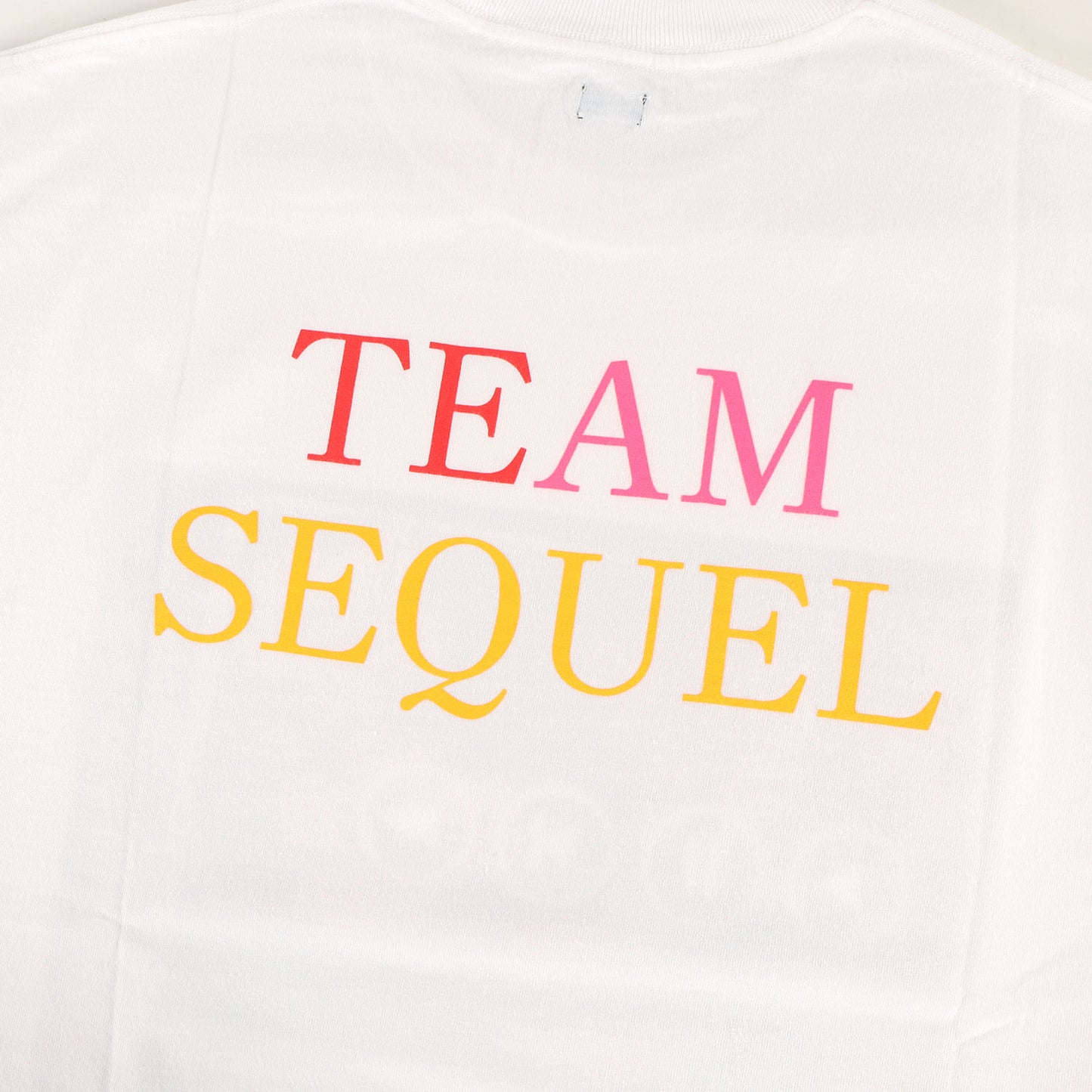 22SS フラワー グラフィック Tシャツ(T-SHIRT)