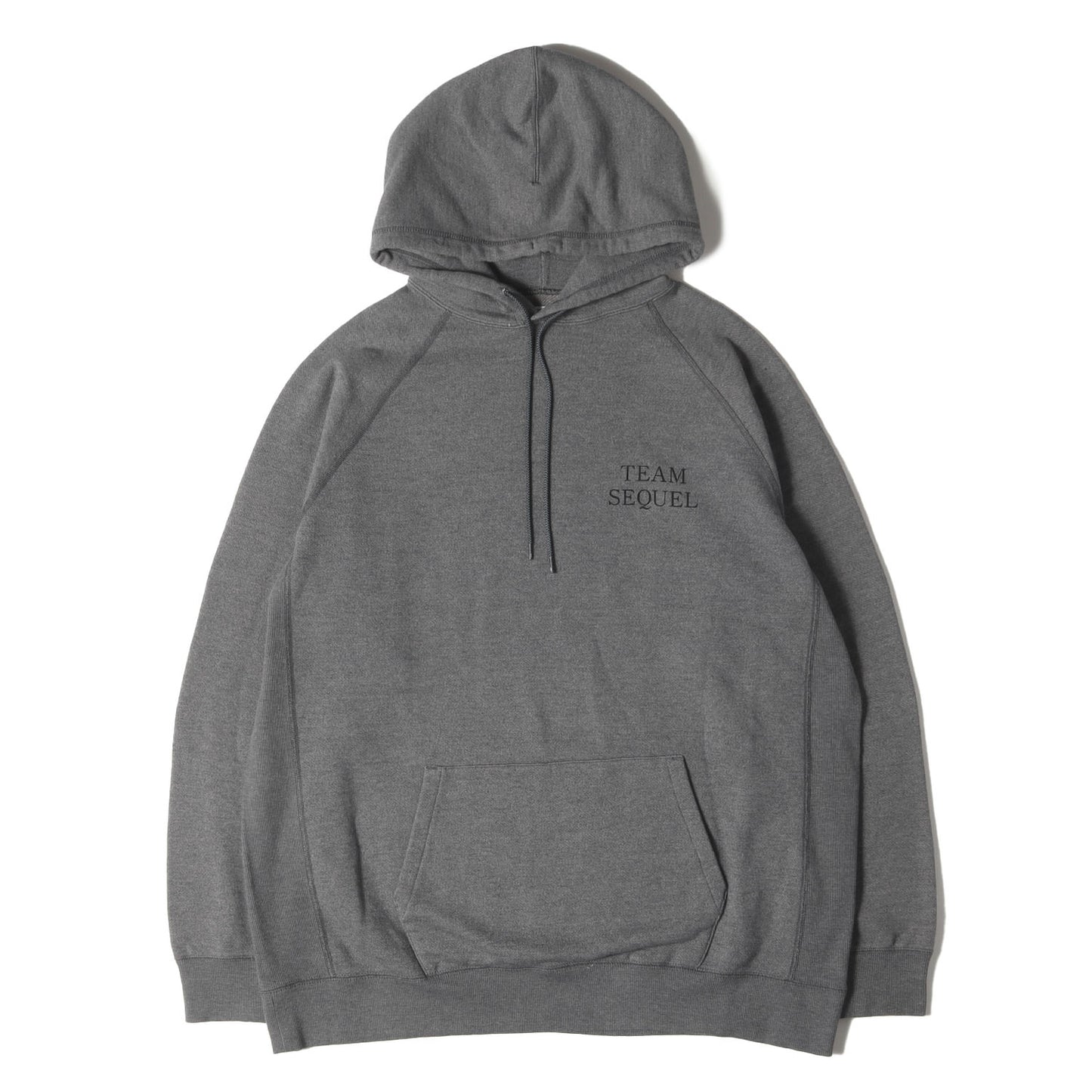 23AW TEAM CURIOSITYロゴ リバースウィーブ スウェットパーカー(HOODIE)
