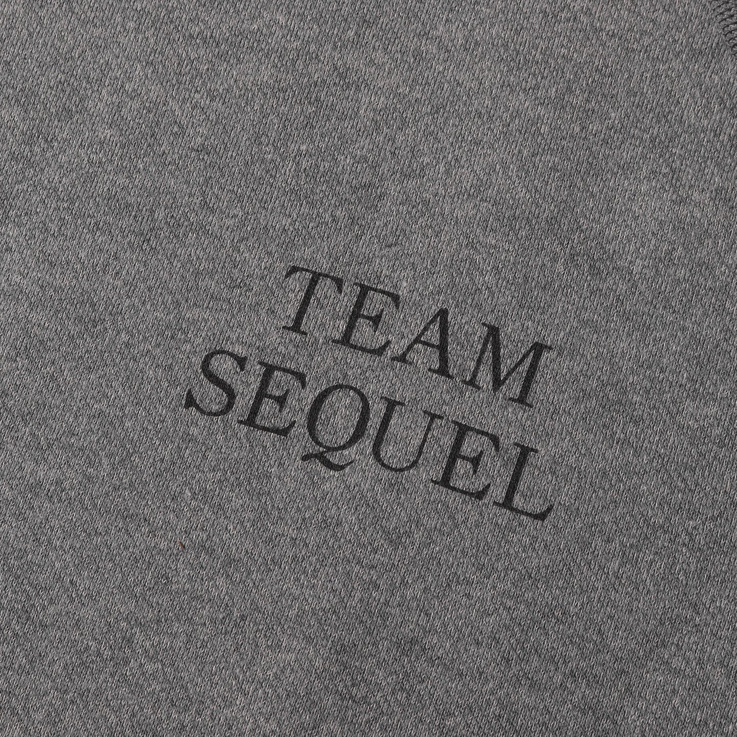 23AW TEAM CURIOSITYロゴ リバースウィーブ スウェットパーカー(HOODIE)