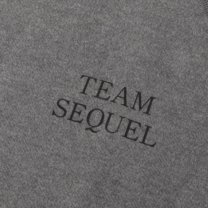 23AW TEAM CURIOSITYロゴ リバースウィーブ スウェットパーカー(HOODIE)