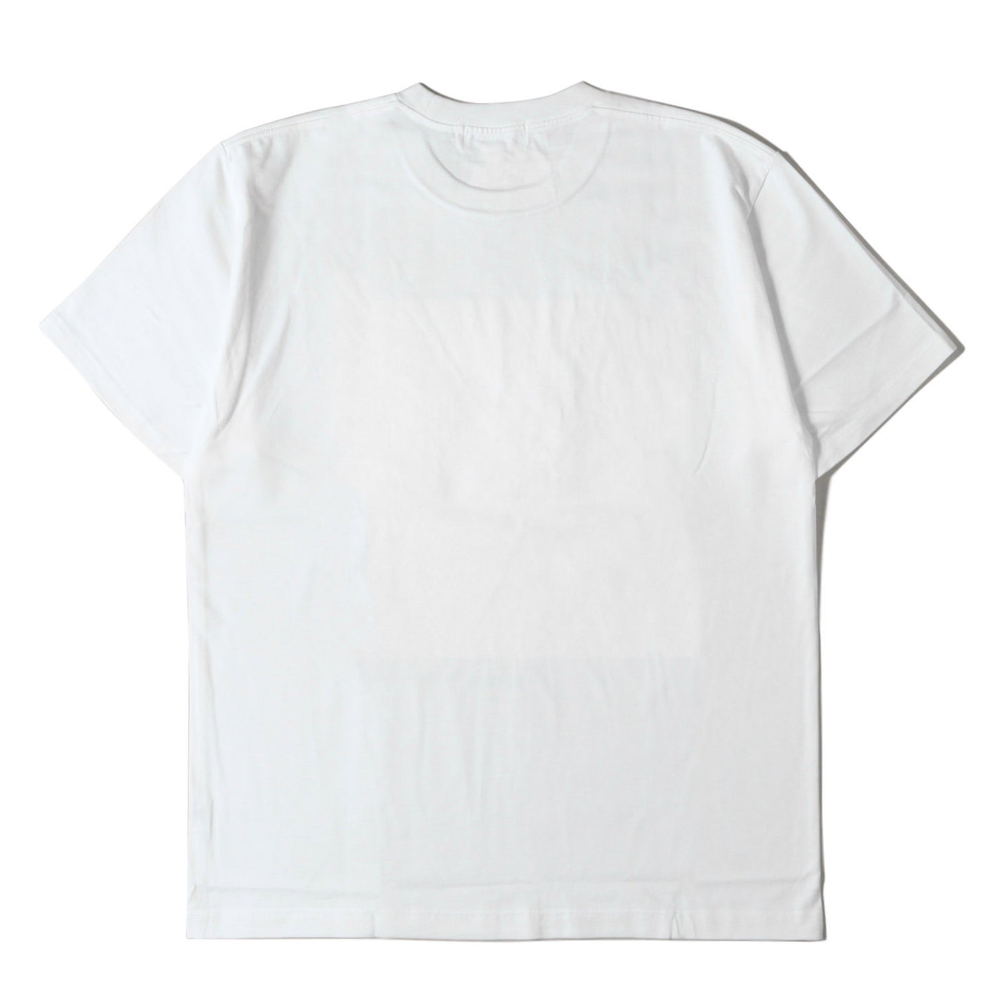 6周年記念 リリー＝ローズ・デップ フォト ヘビー Tシャツ