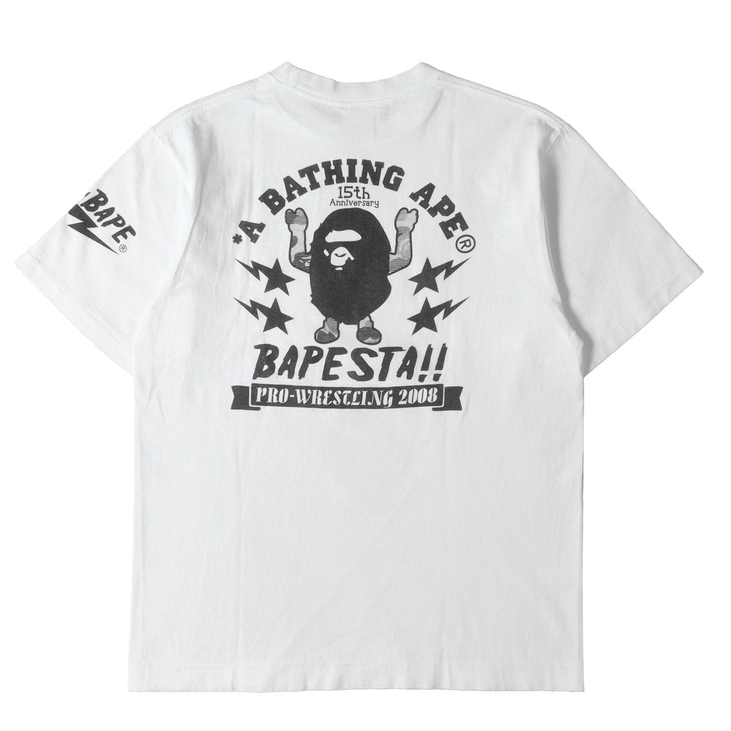 00s 15周年記念 ベイプスタプロレスリング 武藤敬司 Mr.610 & NIGO & ベビーマイロ Tシャツ