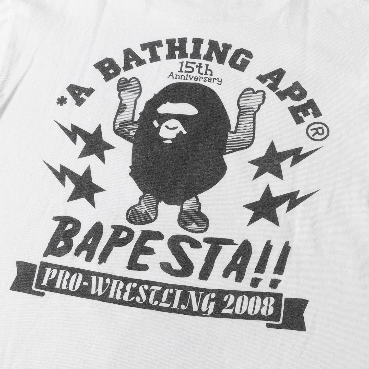 00s 15周年記念 ベイプスタプロレスリング 武藤敬司 Mr.610 & NIGO & ベビーマイロ Tシャツ