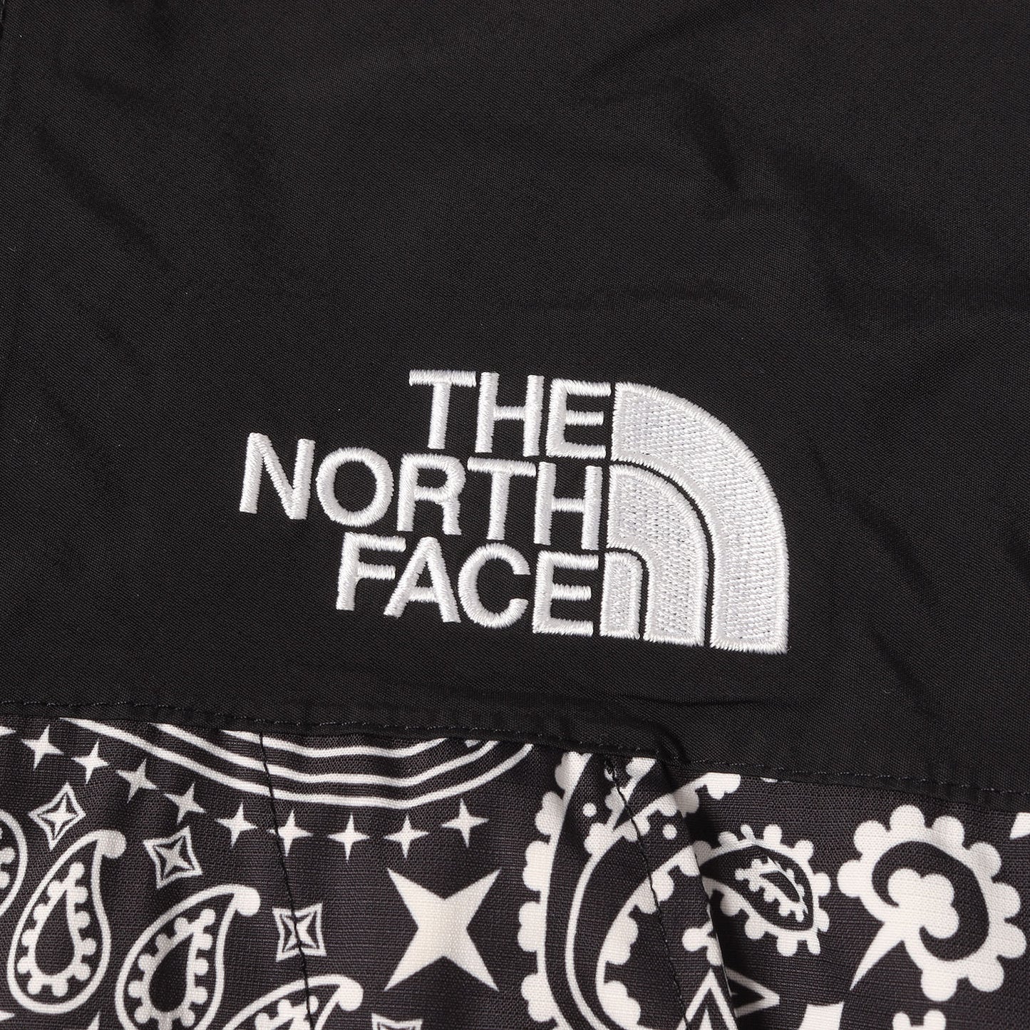 ×THE NORTH FACE バンダナ柄 マウンテンパーカー / ジャケット(Bandana Mountain Parka)