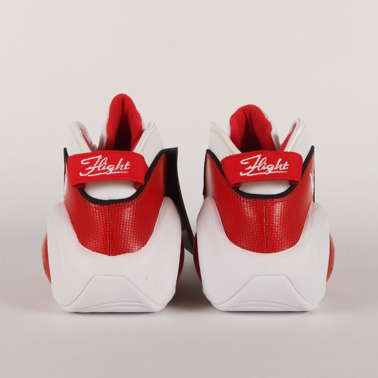 AIR ZOOM FLIGHT 95 (2022年製 / DX1165-100)