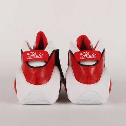 AIR ZOOM FLIGHT 95 (2022年製 / DX1165-100)