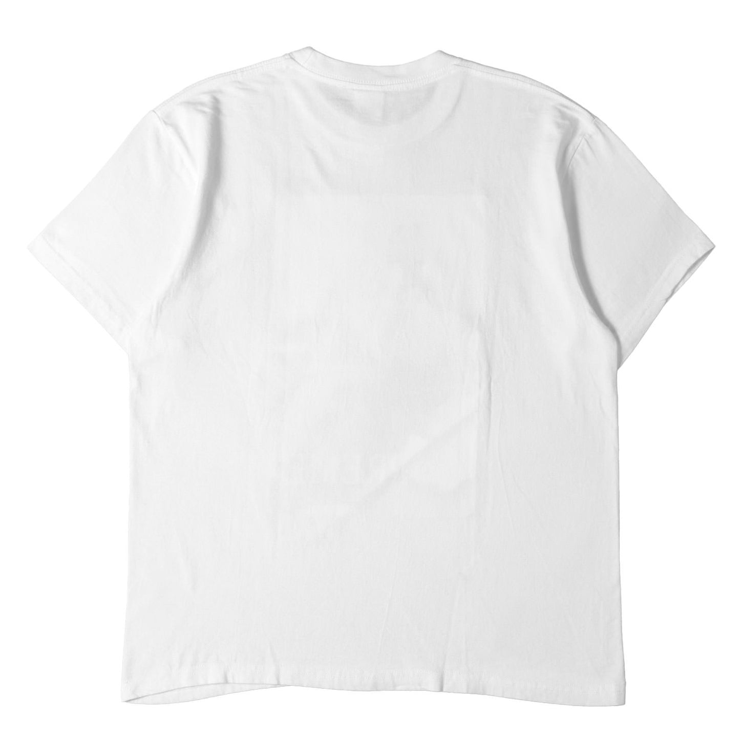 21SS アンナ・ニコル・スミス フォト Tシャツ(Anna Nicole Smith Tee)