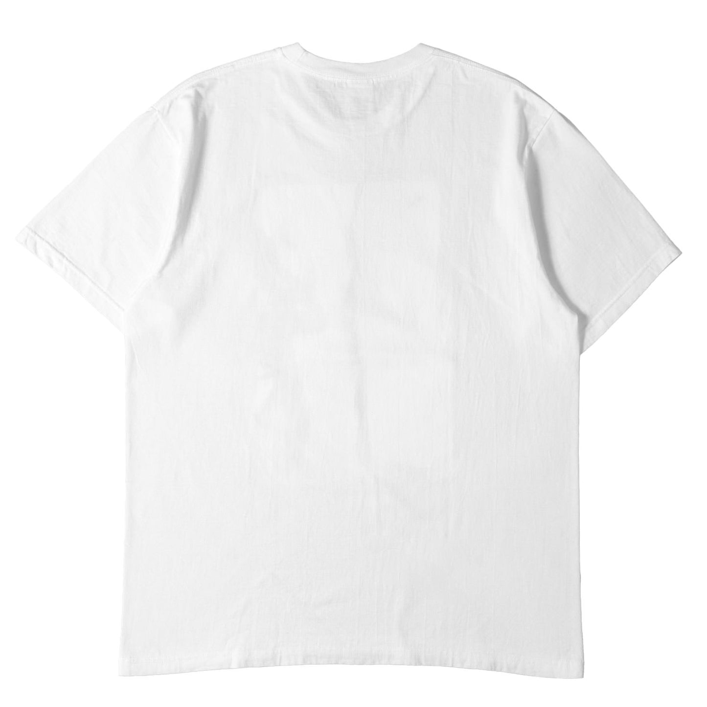 22SS フォトプリント Tシャツ(Model Tee)
