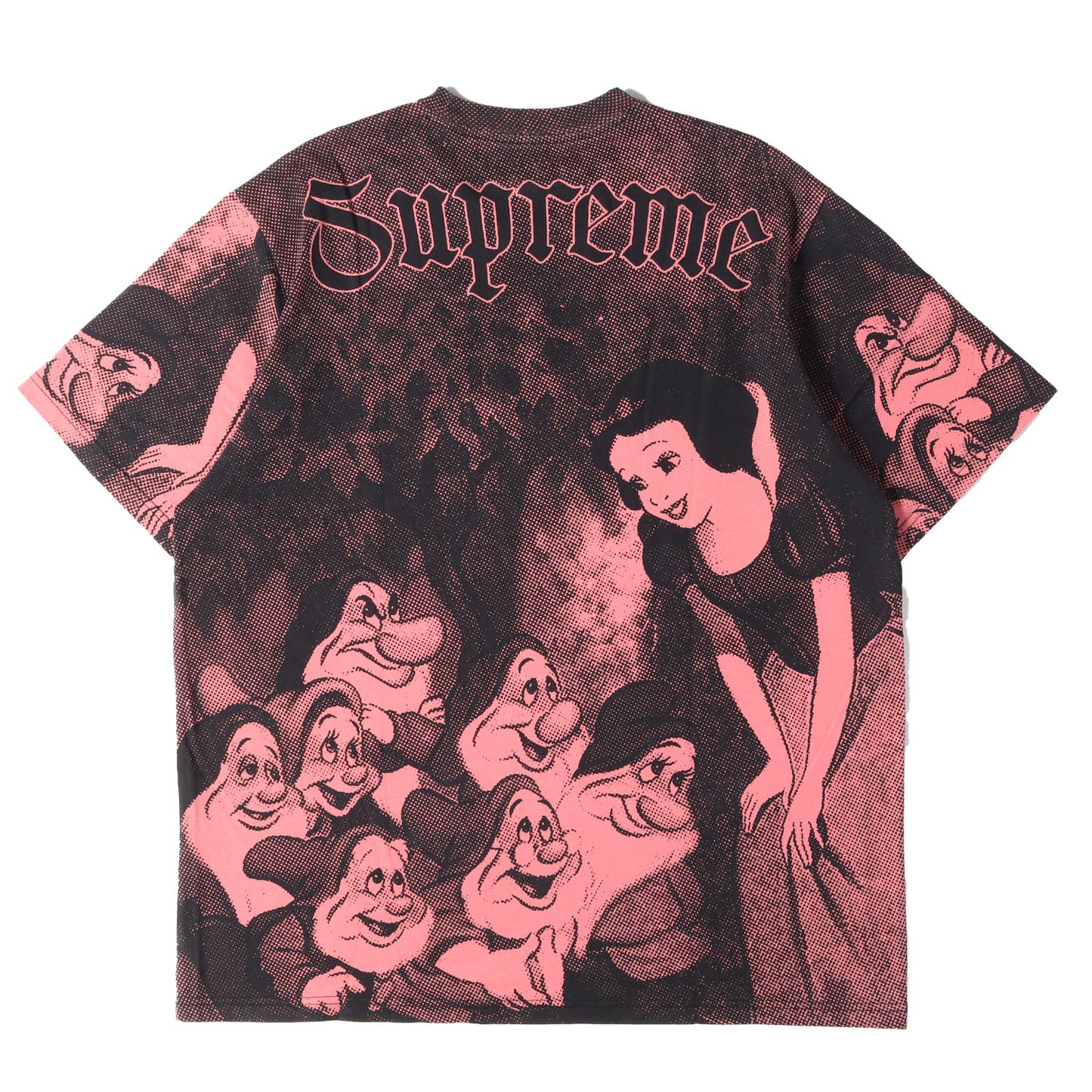 24AW ×Disney 白雪姫 全面グラフィック Tシャツ(Snow White S/S Top)