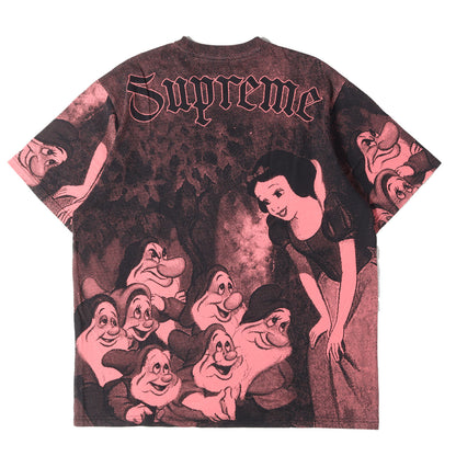 24AW ×Disney 白雪姫 全面グラフィック Tシャツ(Snow White S/S Top)