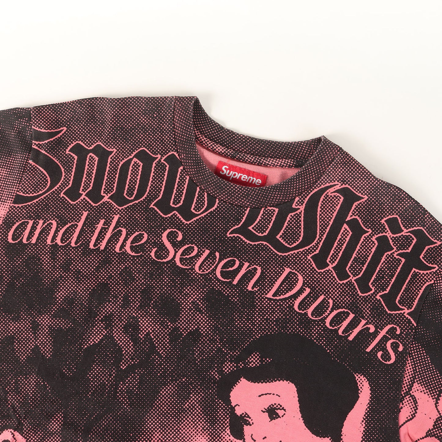 24AW ×Disney 白雪姫 全面グラフィック Tシャツ(Snow White S/S Top)