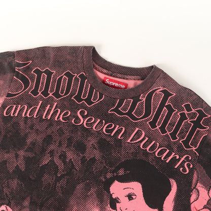 24AW ×Disney 白雪姫 全面グラフィック Tシャツ(Snow White S/S Top)
