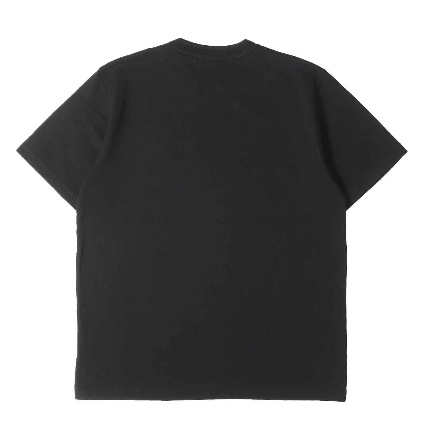 24AW ×Sacai フロッキープリント ヘビー Tシャツ(Flock Print T-Shirt / SS / COTTON. SACAI)