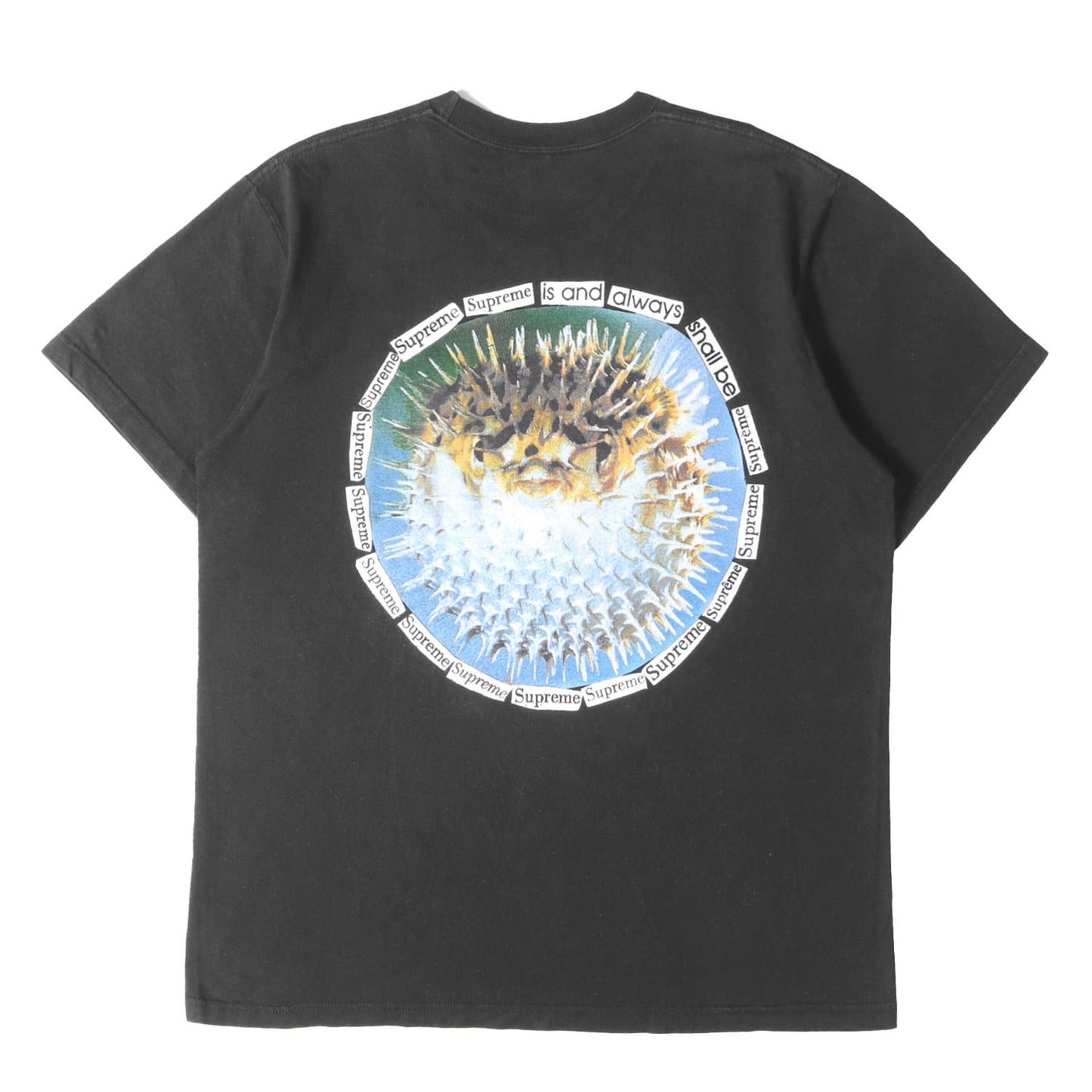 23SS ハリセンボン グラフィック Tシャツ(Blowfish Tee)