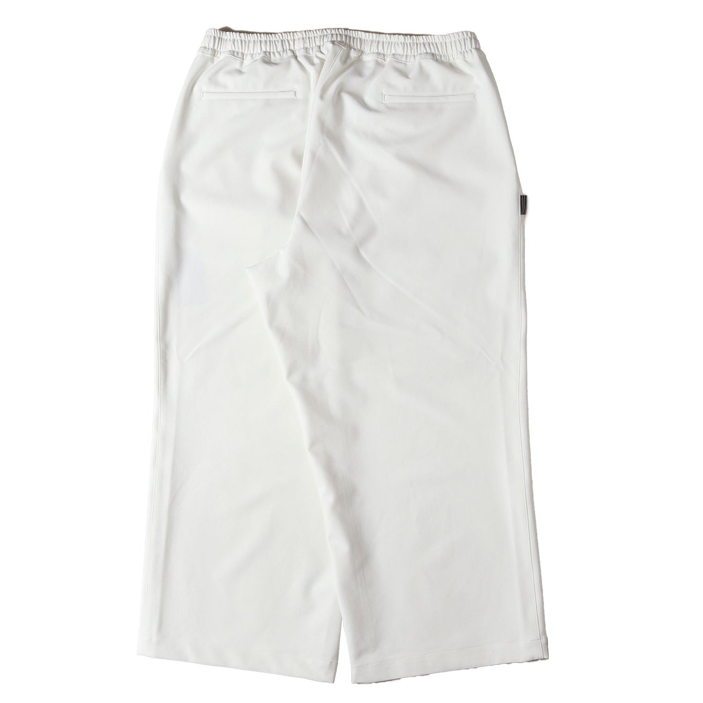25AW 2WAYストレッチ 2タック ワイド バギーパンツ(WIDE TWO TUCK BAGGY PANTS)