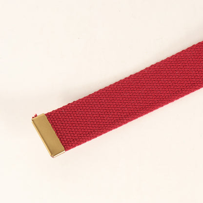 22AW ×Dickies ストライプ ウェビングベルト(Stripe Webbing Belt)