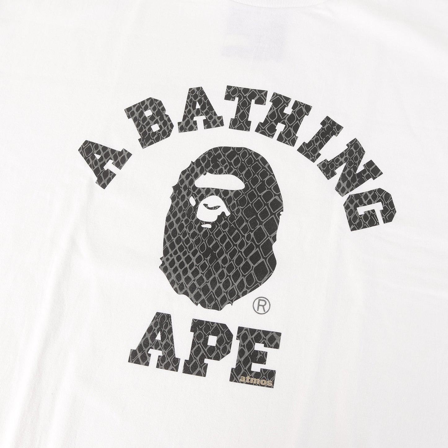 25SS ×ATMOS スネーク柄 蓄光プリント カレッジロゴ Tシャツ(G-SNK COLLEGE TEE)