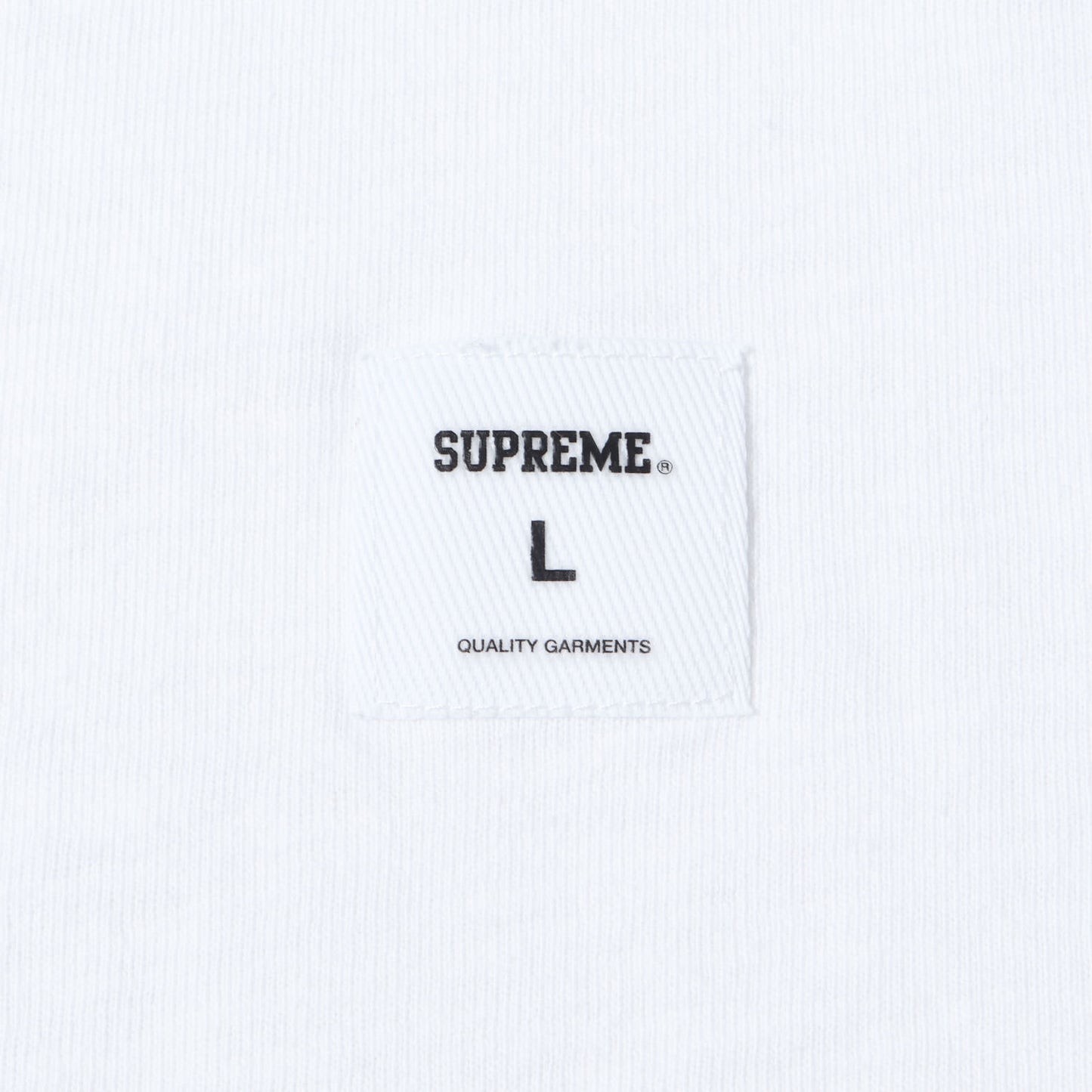 23AW ビッグ ロゴパッチ ヘビー Tシャツ(Digi S/S Top)