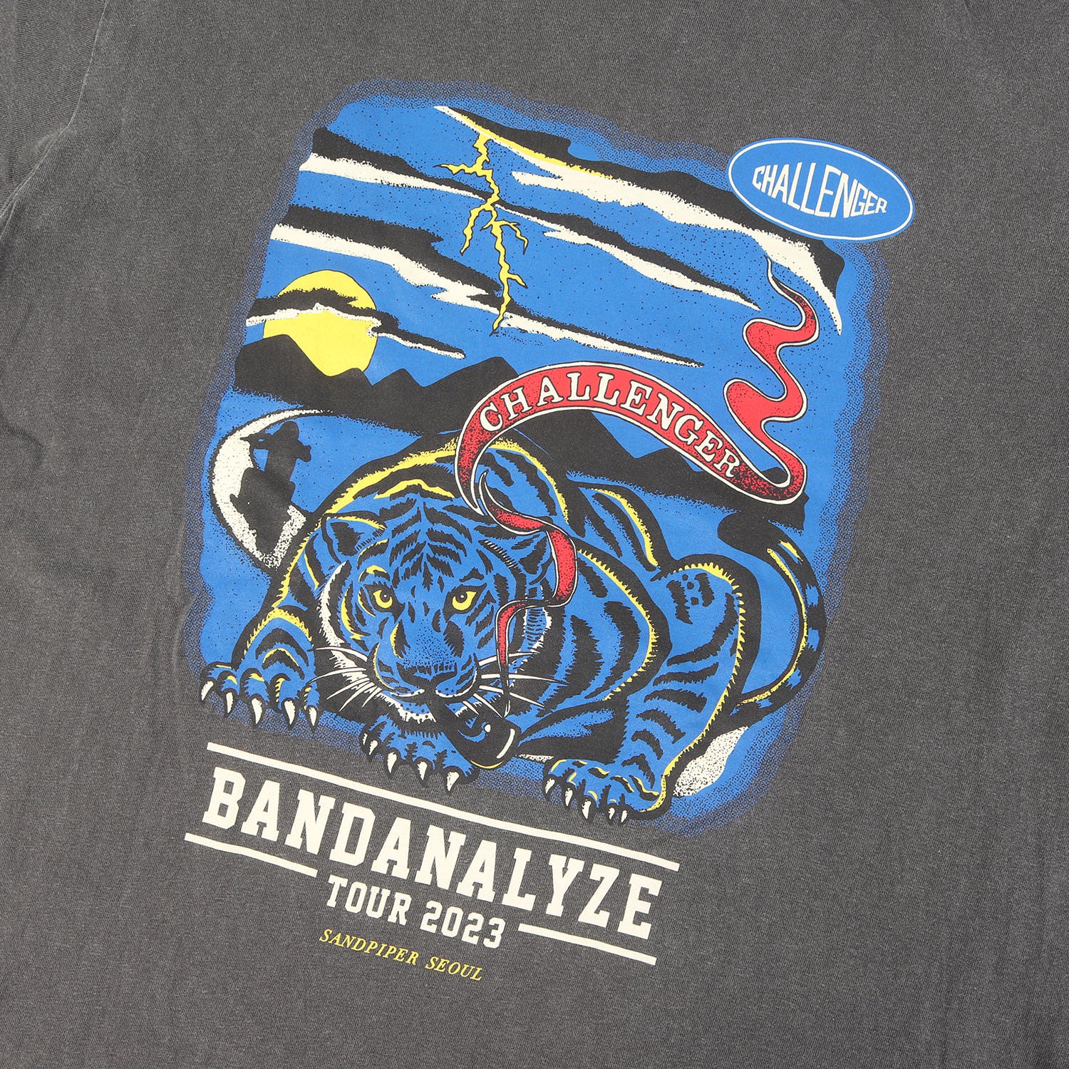 CHALLENGER (チャレンジャー) 23AW BANDANALYZE 韓国 ヴィンテージ加工