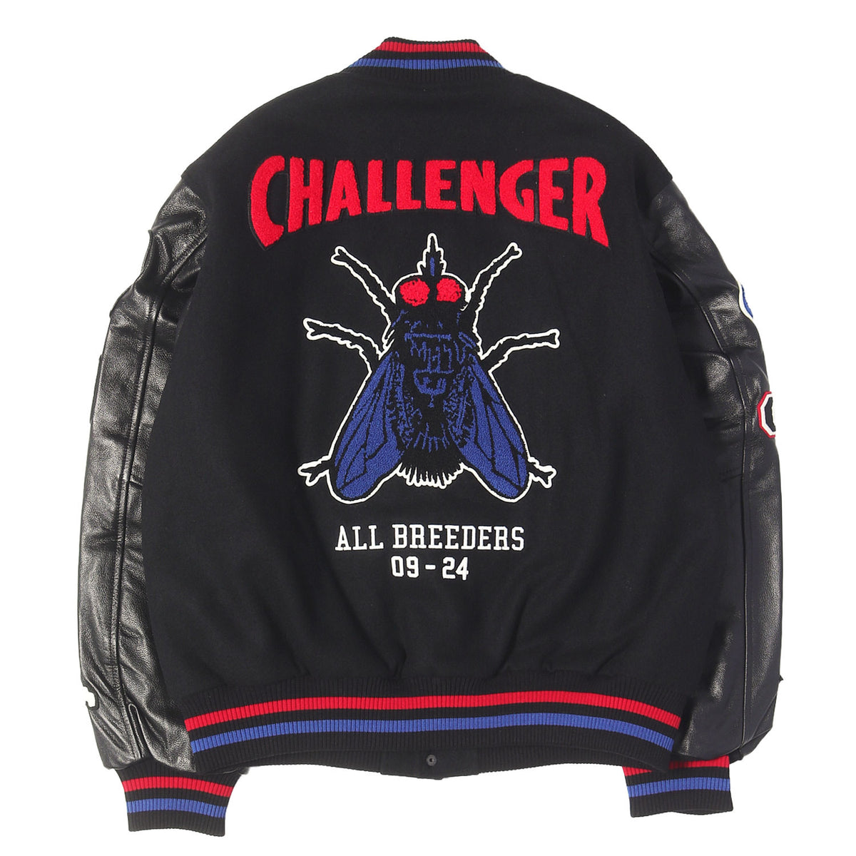 24AW 15周年記念 袖レザー メルトン スタジャン / バーシティジャケット(15th VARSITY JACKET)