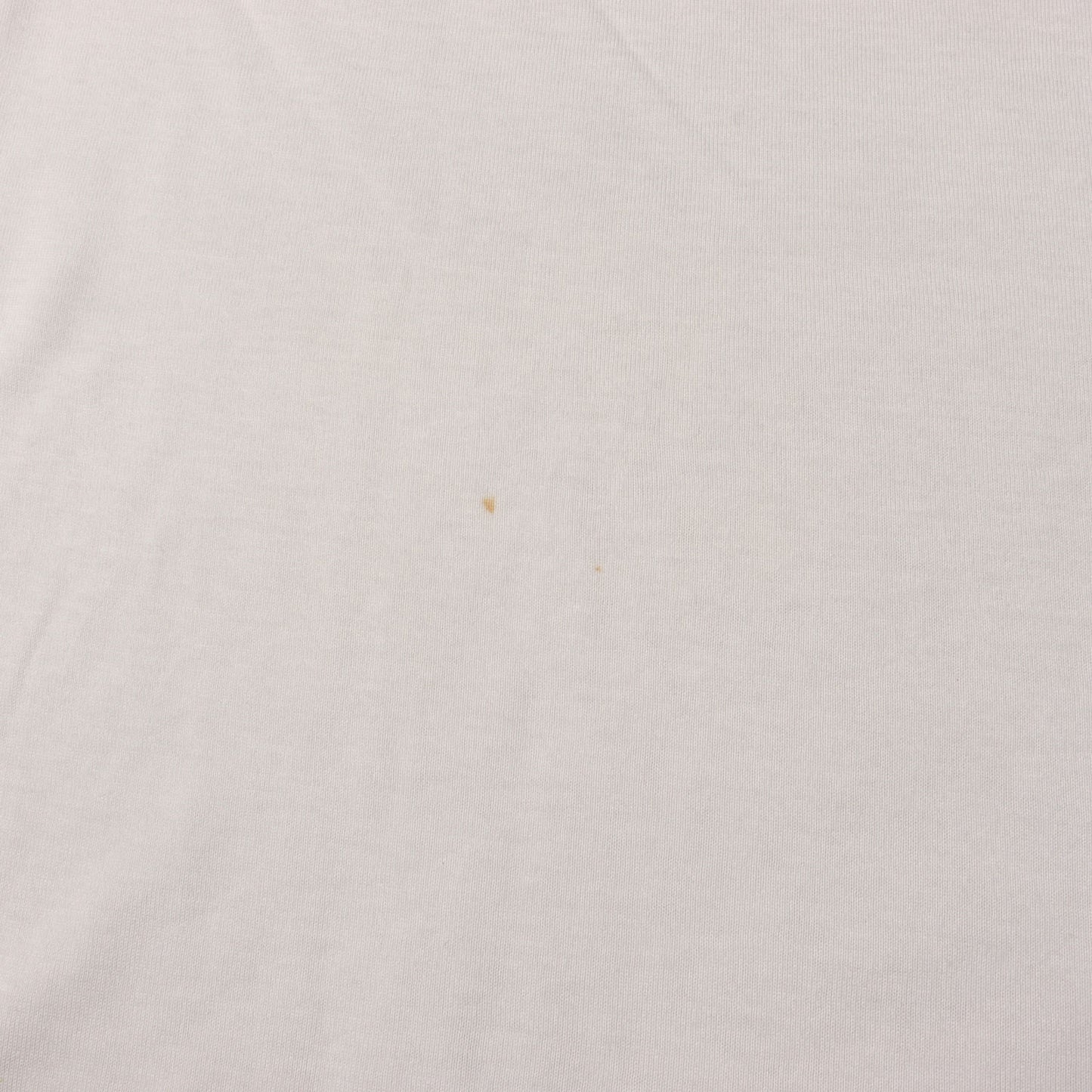 00AW THS期 ダメージ加工 転写プリント Tシャツ