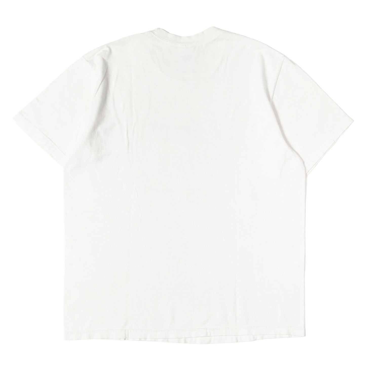 20AW オーバル スクリプトロゴ Tシャツ(Classics Tee)
