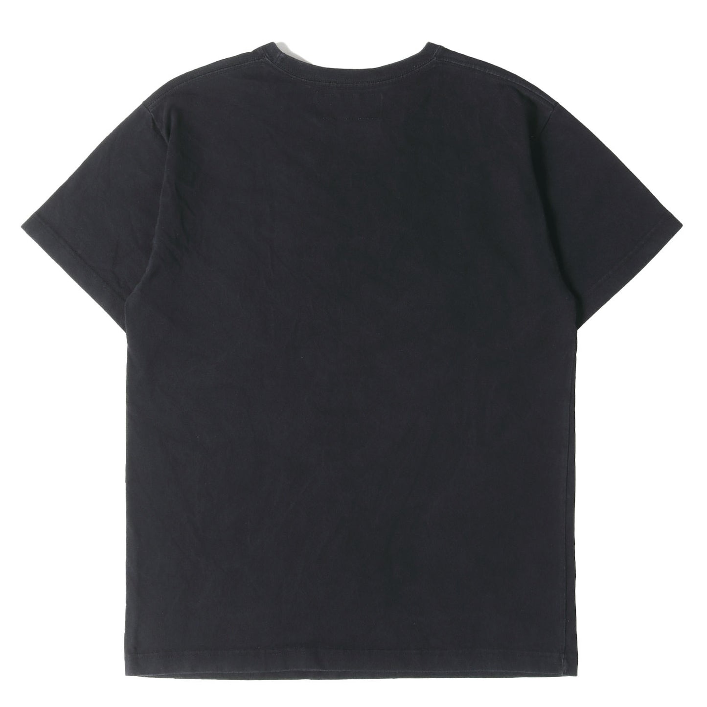 カメレオン グラフィック Tシャツ(CHEMICAL FLOG TEE)