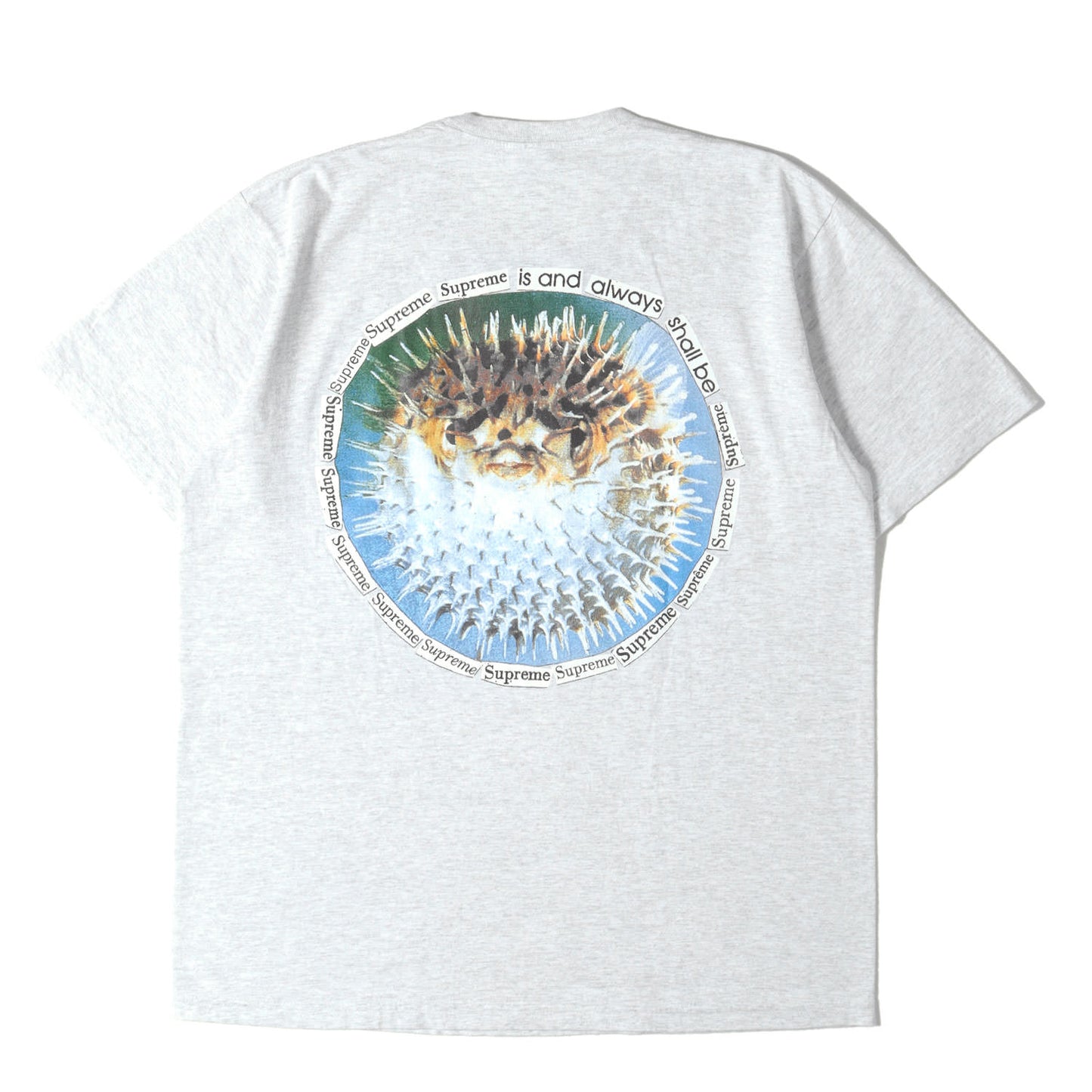23SS ハリセンボン グラフィック Tシャツ(Blowfish Tee)