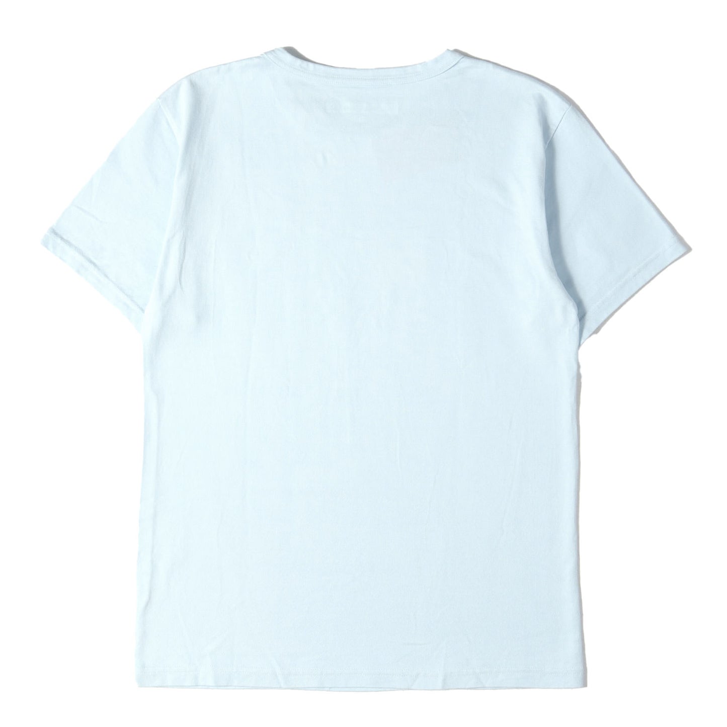 テイラー・スイフト フォト ヘビー Tシャツ