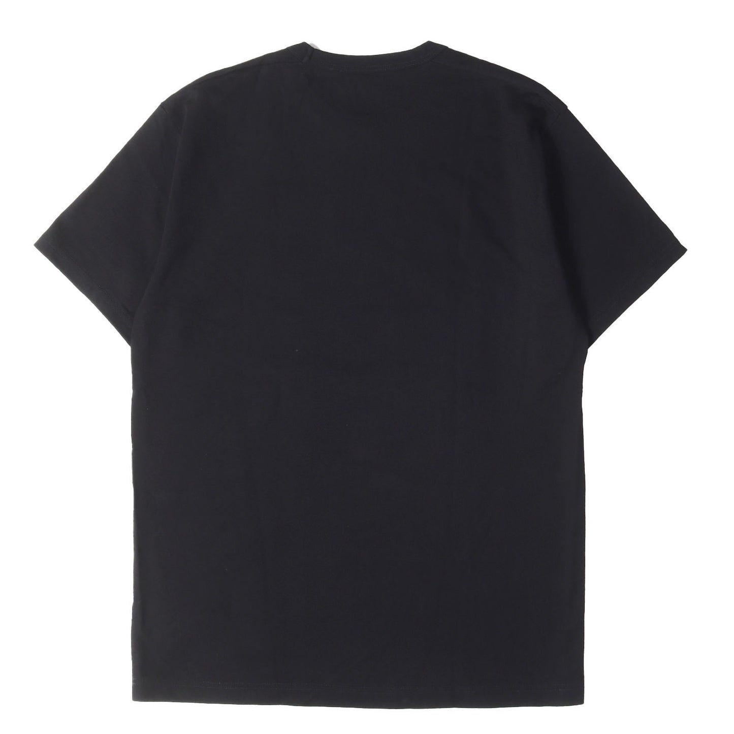 カイリー・ジェンナー フォト ヘビー Tシャツ