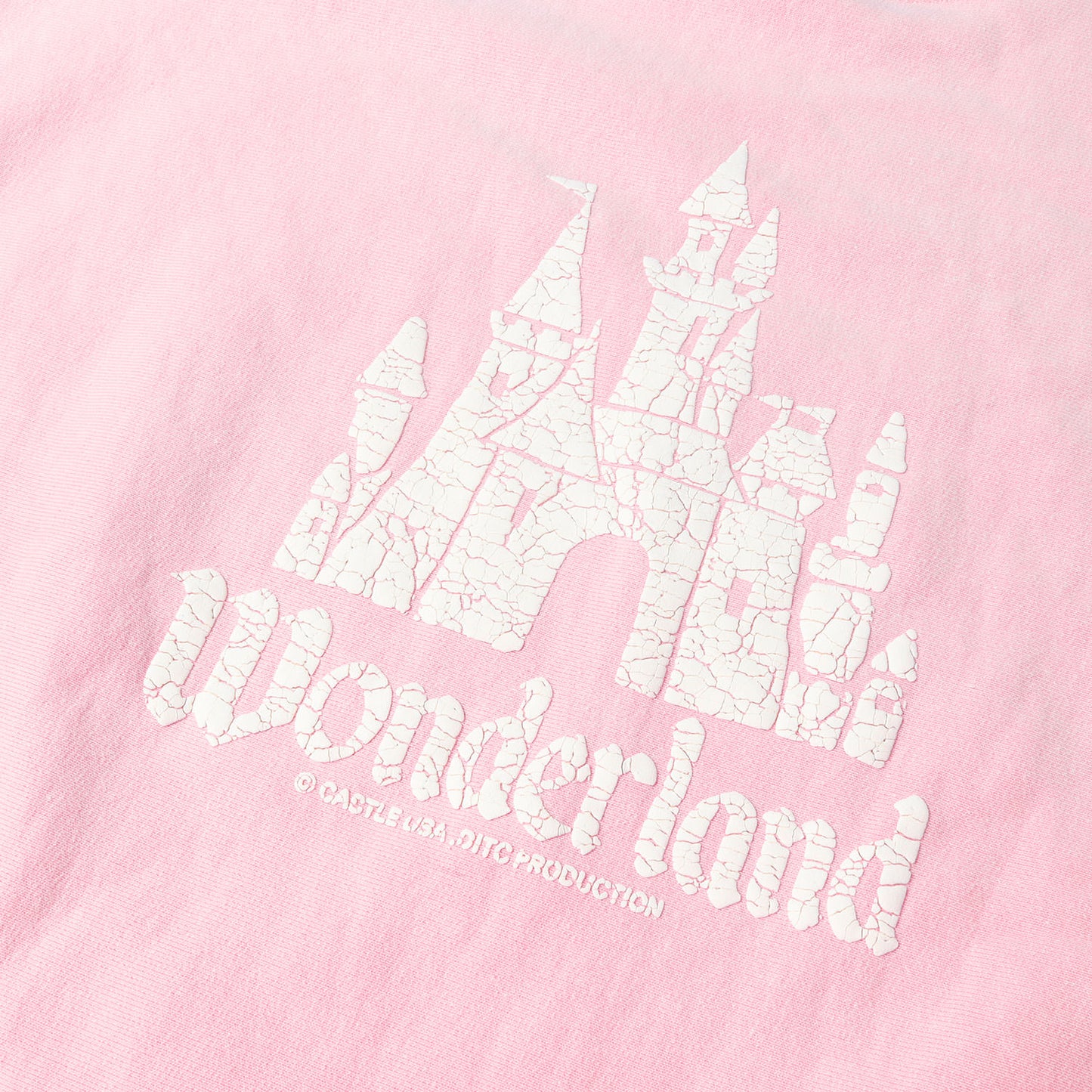 ダメージ加工 ひび割れ発砲プリント リバースウィーブ スウェット(WONDER LAND CREW SWEAT SHIRTS)