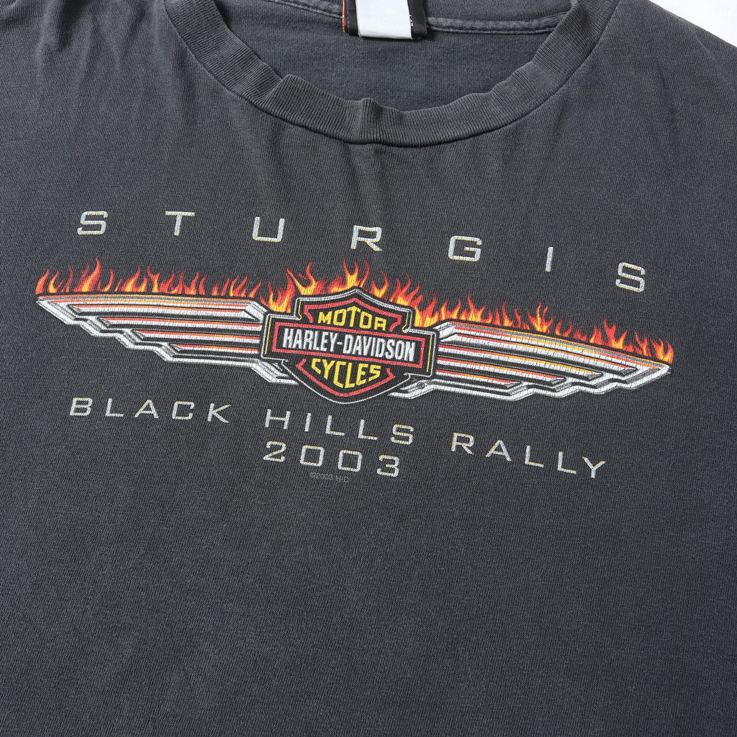 [雰囲気抜群] 00s 4面プリント 袖ロゴ フレイム エンブレム ロングスリーブ Tシャツ USA製