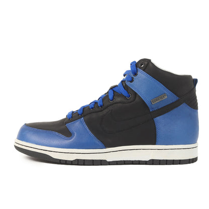 DUNK HI PREMIUM GORE-TEX (2007年製 / 317171-401)