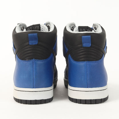 DUNK HI PREMIUM GORE-TEX (2007年製 / 317171-401)