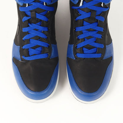 DUNK HI PREMIUM GORE-TEX (2007年製 / 317171-401)