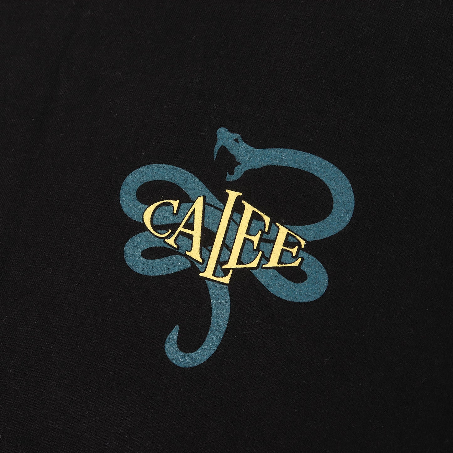 スネーク グラフィック ヘビー Tシャツ(Binder neck snake logo vintage t-shirt)
