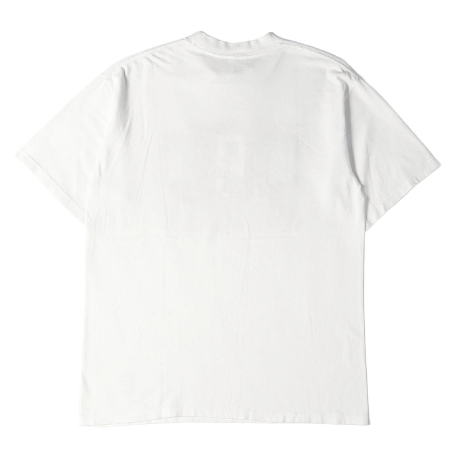 90s ゲイリー・ラーソン イラストプリント Tシャツ (The Far Side) / USA製 ADVANCE ATHLETIC
