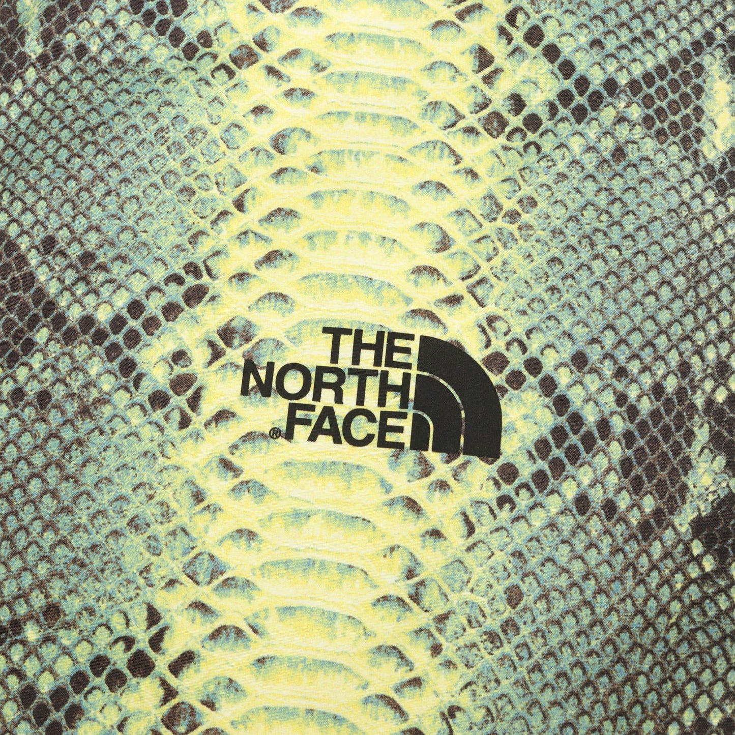 ×THE NORTH FACE スネーク柄 コーチジャケット(Snakeskin Taped Seam Coaches Jacket)
