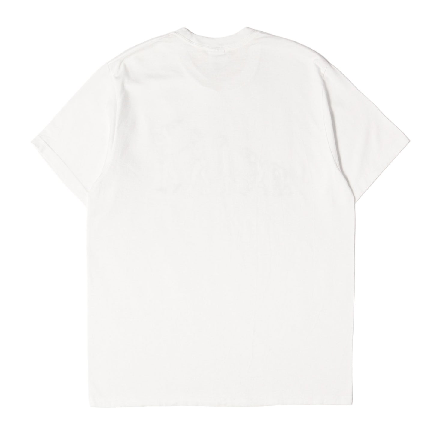 26SS エボリューション グラフィック Tシャツ(Evolution Tee)